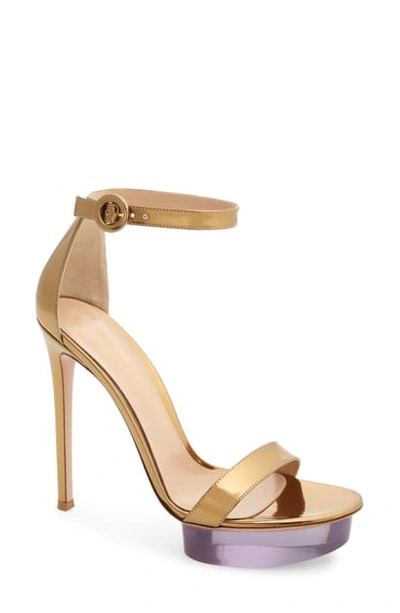 Gianvito Rossi Clear Platform Ankle Strap Sandal In Gold