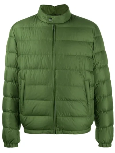 Dolce & Gabbana High Collar Padded Jacket In Green