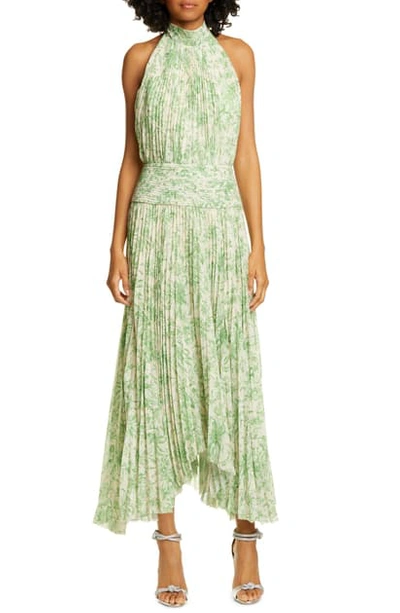 Amur Bibi Pleated Floral Halter Maxi Dress In Ecru/ Green