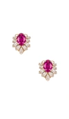 ANTON HEUNIS FUCHSIA CLUSTER EARRING,AHEU-WL73