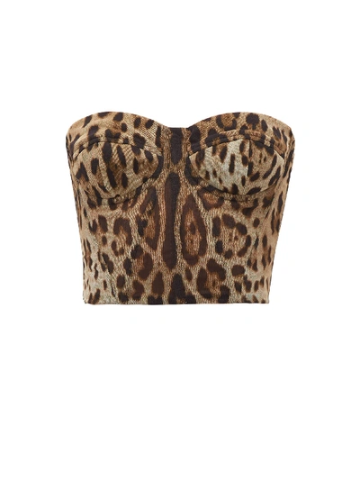 Dolce & Gabbana Leopard-print Cotton-tulle Bustier Top In Leo Print