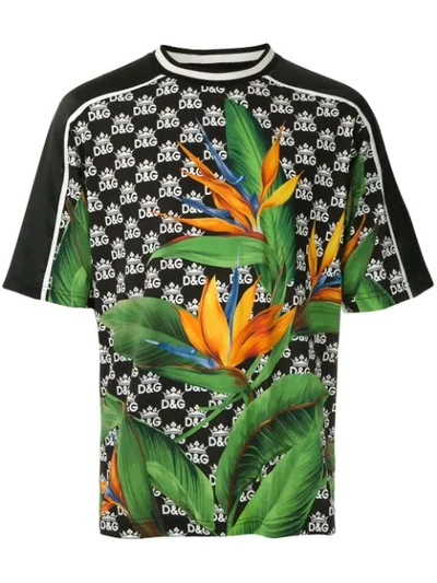 Dolce & Gabbana Cotton T-shirt With Dg Logo And Bird Of Paradise Print In S9000 Mixha