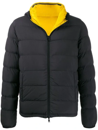 Herno Black And Yellow Reversible Padded Jacket In Blue