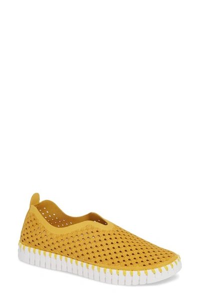 Ilse Jacobsen Tulip 139 Perforated Slip-on Sneaker In Gold