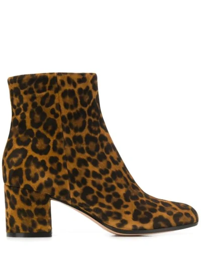 Gianvito Rossi Leopard Suede Printed Ankle Boots In Txsleo