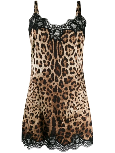Dolce & Gabbana Leopard-print Satin Lingerie Slip With Lace Detailing In Animal Print