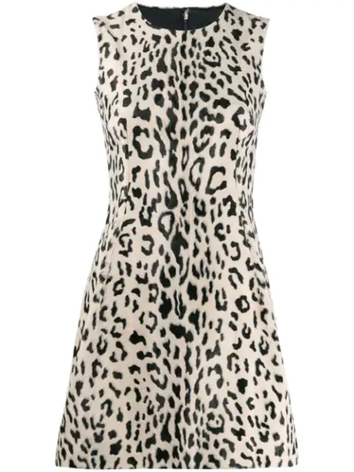 Dolce & Gabbana Animal Print Flared Mini Dress In Neutrals