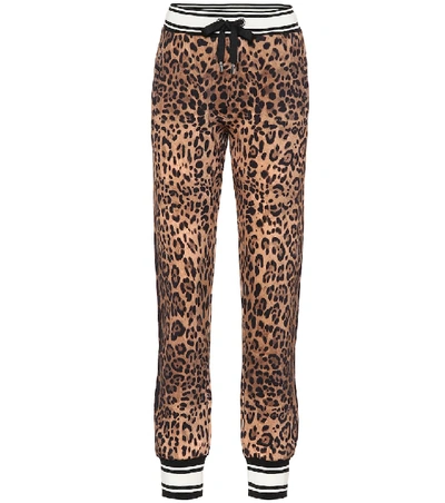 Dolce & Gabbana 豹纹棉质运动裤 In Leopard Print
