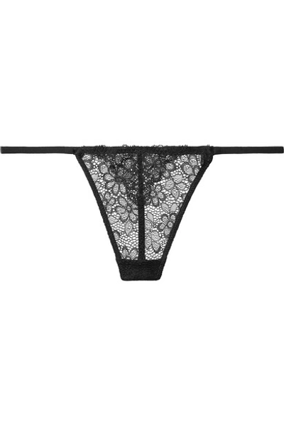 Les Girls Les Boys Daisy Lace Thong In Black