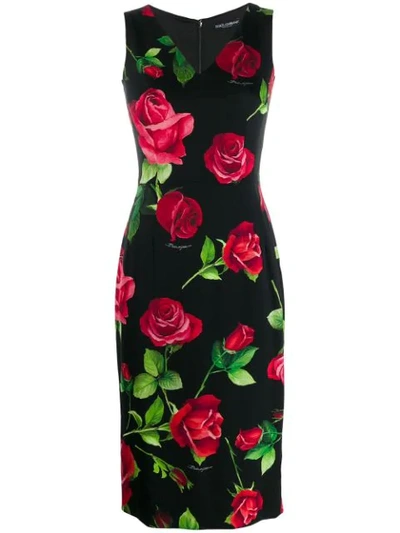 Dolce & Gabbana Rose Print Stretch Silk Sheath Dress In Black