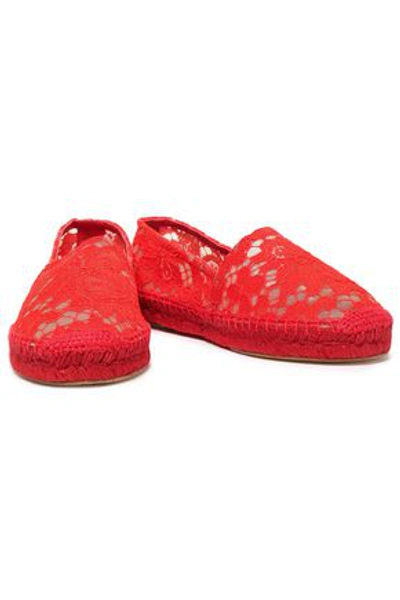 Dolce & Gabbana Corded Lace Espadrilles In Tomato Red