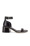BURBERRY BURBERRY ATTENBY SANDALS IN BLACK,BURF-WZ10