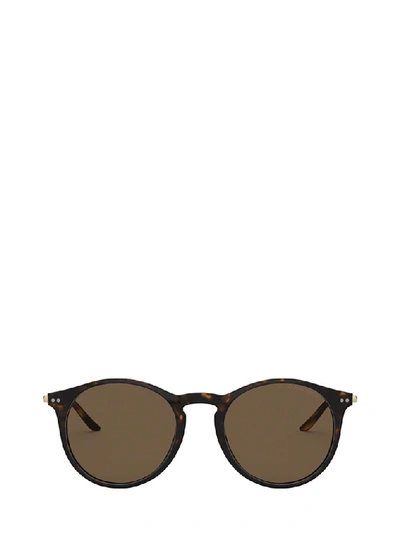 Giorgio Armani Women's Brown Acetate Sunglasses