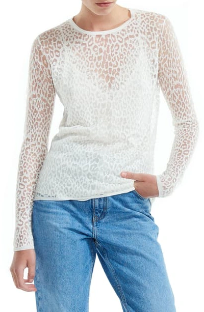 Maje Thibault Leopard Print Sheer Top In Black