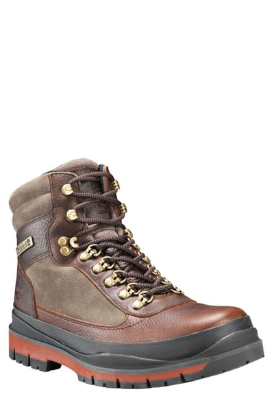 Timberland Men's Field Trekker Waterproof Hiking Boots Men's Shoes In Dark Brown