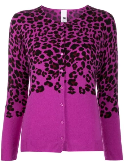 Ultràchic Leopard Print Cardigan In Pink