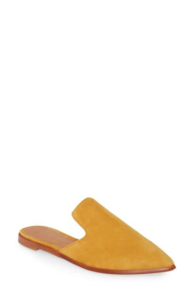 Madewell The Gemma Mule In Boutique Gold Suede