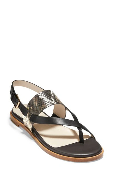 Cole Haan Anica Sandal In Black Snake Print Leather