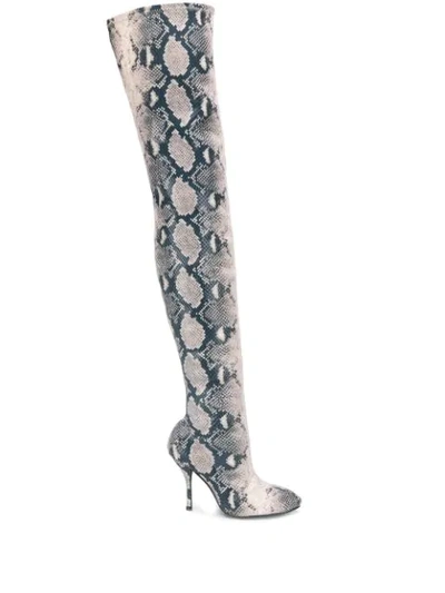 Stuart Weitzman Snake Print Over The Knee Boots In Grey