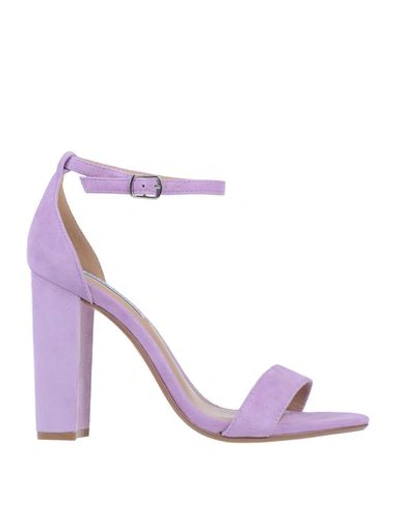 Steve Madden Sandals In Lilac