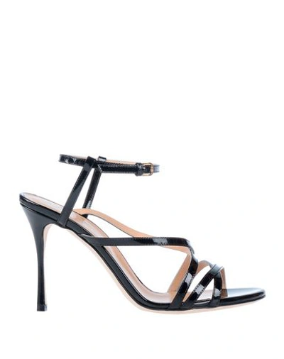 Sergio Rossi Sandals In Black