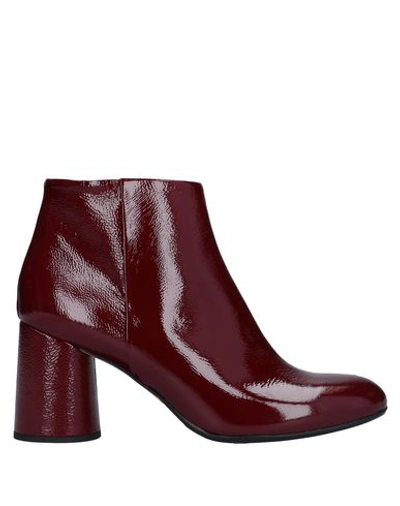 Anna F Ankle Boots In Maroon