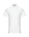 Malo Polo Shirts In White
