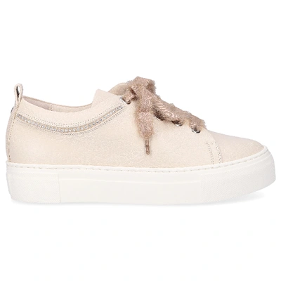 Agl Attilio Giusti Leombruni Low-top Trainers D925217 In Beige