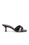 Manolo Blahnik Calla 50 Mule In Black Snake