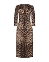 Dolce & Gabbana Leopard-print Calf-length Cady Dress In Khaki