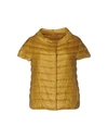 Herno Down Jacket In Ocher