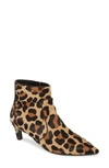 Aquatalia Marilisa Water Resistant Bootie In Leopard