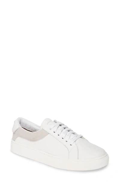 Kaanas Greco Sneaker In White
