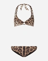 DOLCE & GABBANA Leopard-print bikini