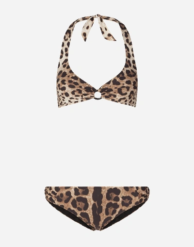 Dolce & Gabbana Leopard Print Bikini In Brown