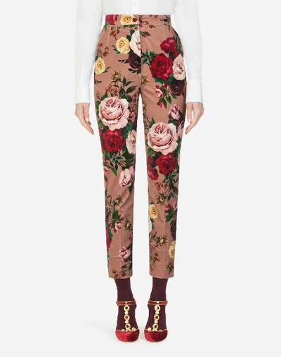 Dolce & Gabbana High-waisted Velvet Trousers With Baroque Rose Print In Multi-colored