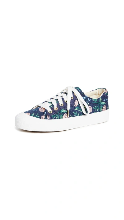 Keds X Rifle Paper Co. Peonies Trainers In Navy Multi