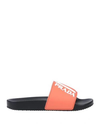 Prada Sandals In Coral