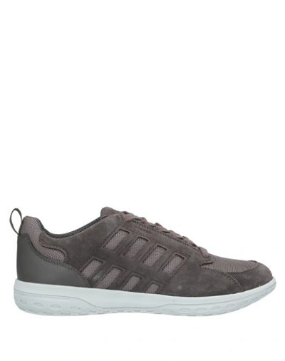 Geox Sneakers In Lead