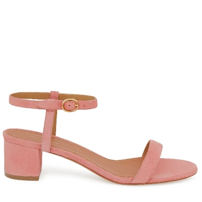 Mansur Gavriel Suede 40mm Ankle Strap Sandal In Blush