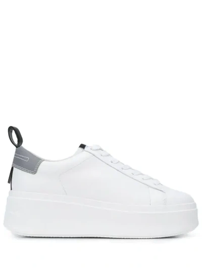 Ash Cult Platform Trainers In White