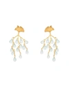 Apples & Figs Earrings In Gold