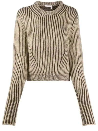 Chloé Cropped Knitted Jumper In 大地色