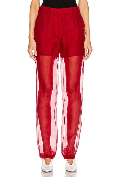 Helmut Lang Straight Leg Organza Pant In Red