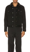 Levi's Sherpa Lined Regular Fit Denim Jacket In Berk In Berk