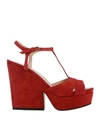 SERGIO ROSSI SANDALS,11158142UQ 8