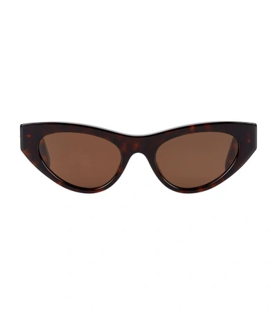 Stella Mccartney Women's Havana 49mm Cat Eye Sunglasses In Brown