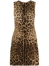 Dolce & Gabbana Leopard Print Shift Dress - Brown In M Leo New