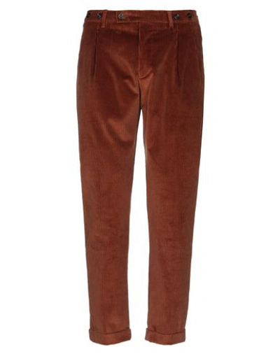 Berwich Casual Pants In Brown