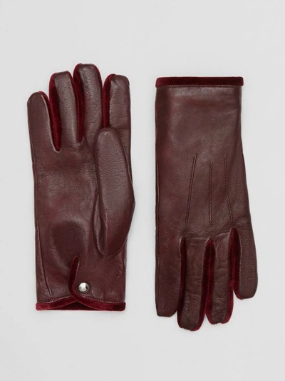 Burberry Cashmere-lined Lambskin And Velvet Gloves In Burgundy